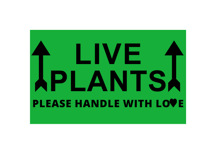 LIVE PLANTS Please Handle with Love (This Side Up Arrow) | 3